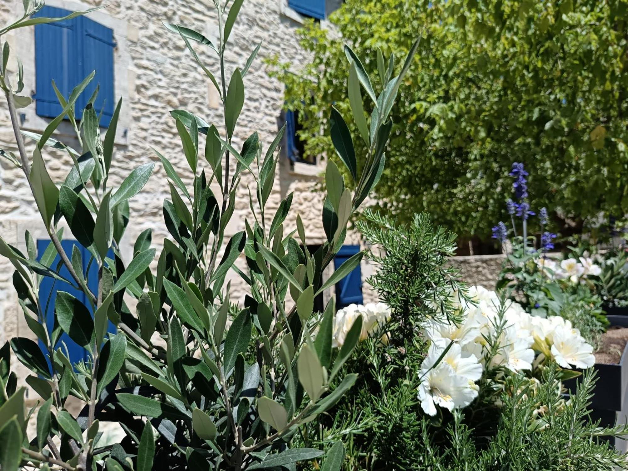 Namaste Home, Votre Havre De Paix A St Remy ! Parking Wifi Inclus Saint-Remy-de-Provence Luaran gambar